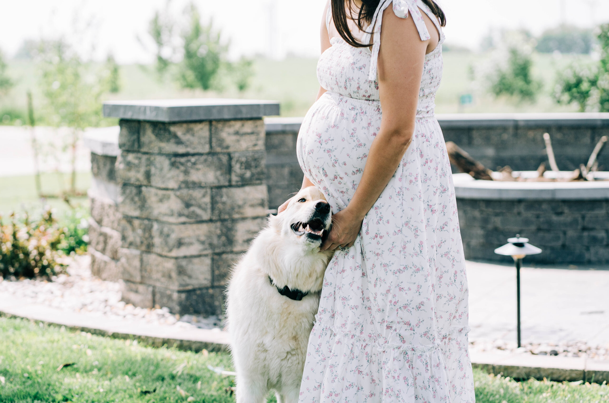pregnant woman in a white floral dress snuggling a white dog outdoors.