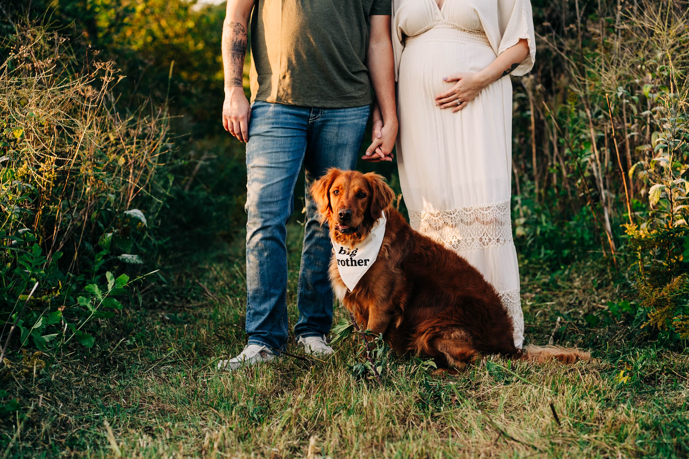 a couple is standing with their golden retriever while he wears a big brother bandanna