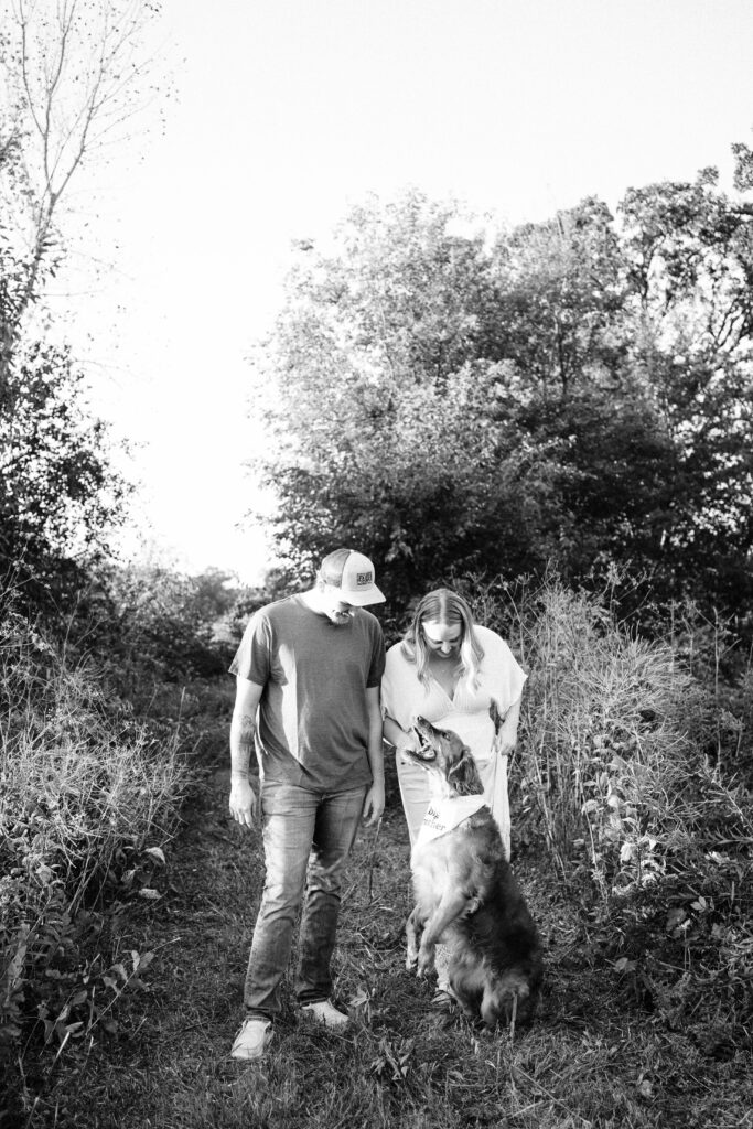 A golden retriever is playing with a stick with his expecting owners