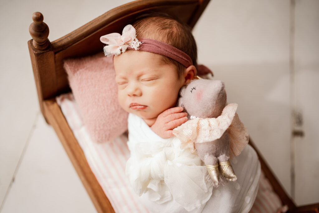 Newborn girl sleeping in a wooden bed holding an elephant in Sun, Prairie, Wisconsin area newborn Studio
