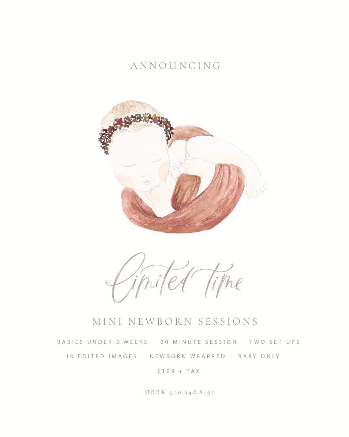 Newborn mini session Information for newborn photo studio near Madison wi