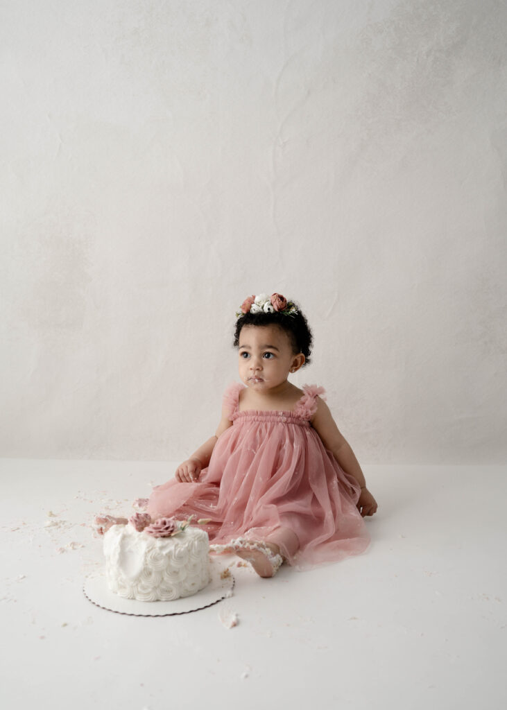     Milwaukee WI cake smash photographer